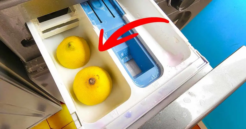 Schimmel in der Waschmaschinenwanne? Der geniale Trick, um es zu reinigen