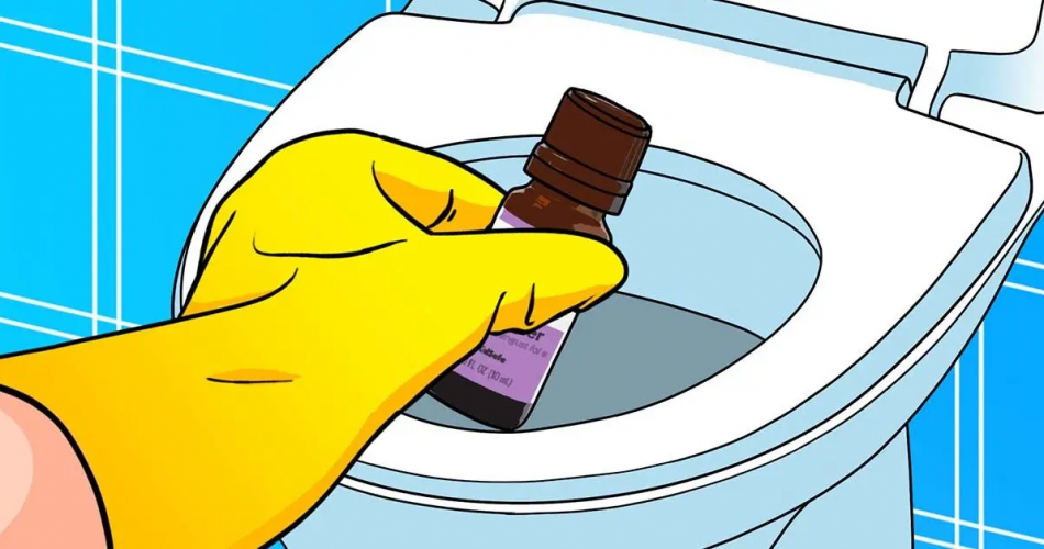 Schlechte Gerüche in der Toilette? Hier ist ein radikaler Trick, um sie zu beseitigen