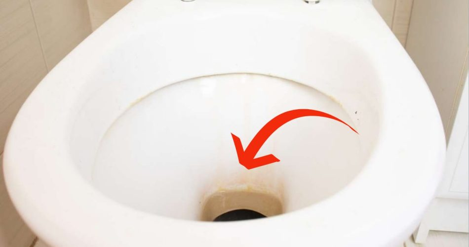 Schluss mit Toilettenurinflecken – wie man sie schnell und natürlich entfernt