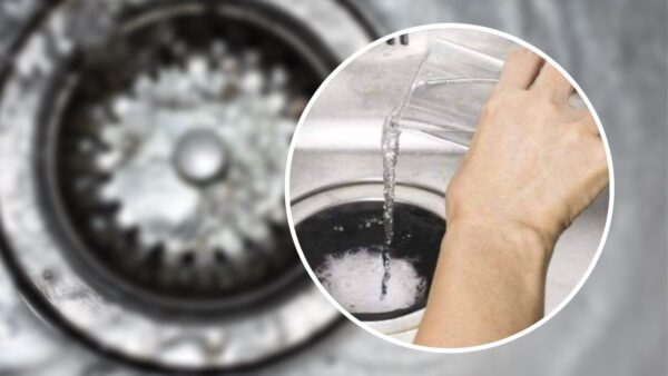 Schluss mit stinkenden Abflüssen, schütten Sie es in die Spüle und lösen Sie das Problem im Handumdrehen