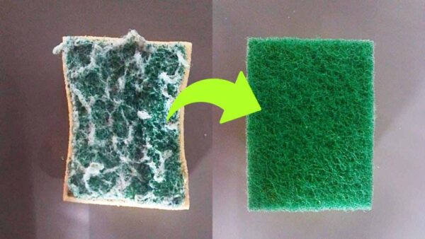 Schmutziger Spülschwamm, werfen Sie ihn nicht weg: Wenn Sie das tun, wird er wie neu aussehen