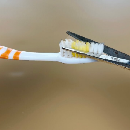 Schneiden Sie die Borsten vor dem Gebrauch der Zahnbürste in zwei Hälften – der unerwartete Grund