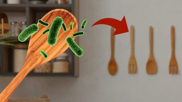 Schöpflöffel, wenn Sie das in der Küche haben, werfen Sie es weg: Es ist eine Höhle mit sehr gefährlichen Bakterien