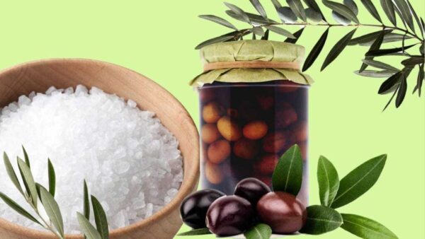 Schwarze Oliven, wie man sie mit Salz lange konserviert, ohne ihren Geschmack zu verändern | Sie halten mehr als ein Jahr