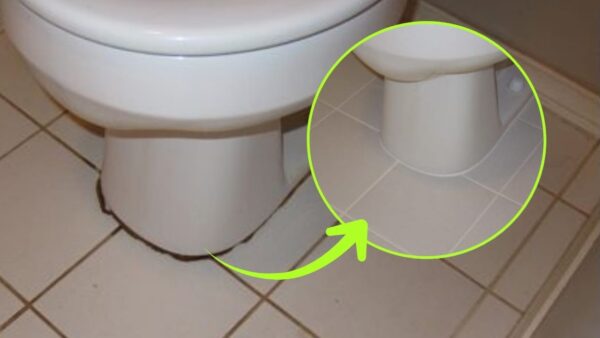 Schwarzer Kreis am Boden der Toilette, nur wenn Sie das tun, werden Sie ihn los: Er wird wieder neu