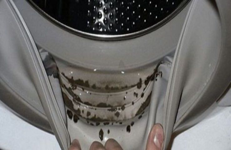 Waschmaschinenpflege und Wartung