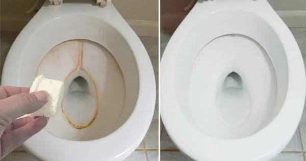 Selbstgemachte Natrontabletten für eine gründliche Reinigung Ihrer Toilette