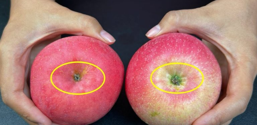 Sie können knusprige und süße Äpfel in einer Sekunde erkennen, indem Sie sie einfach ansehen