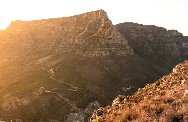 Afrika: die besonderen Kreaturen