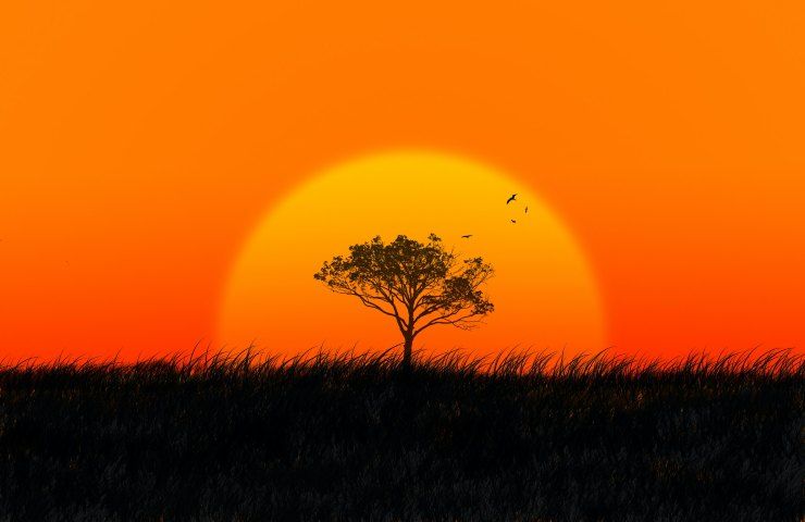 Afrika und diese besonderen Kreaturen