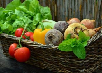 Sie werden nie glauben, welche 7 Pflanzen blühen, wenn Sie darauf pinkeln!