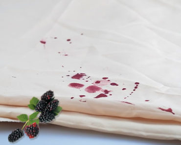 So entfernen Sie Brombeerflecken – Beseitigen Sie dieses Problem