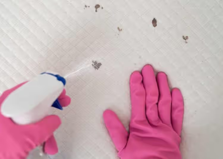 So entfernen Sie Flecken von einer Matratze: effektive Tipps, die Sie begeistern werden