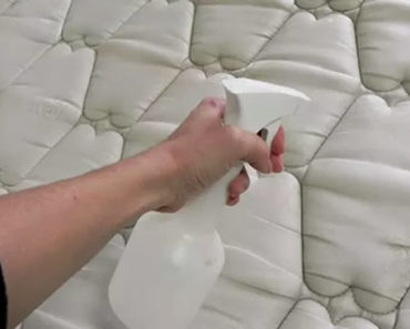 So entfernen Sie Uringeruch von Matratze, Sofa, Teppich und Kleidung