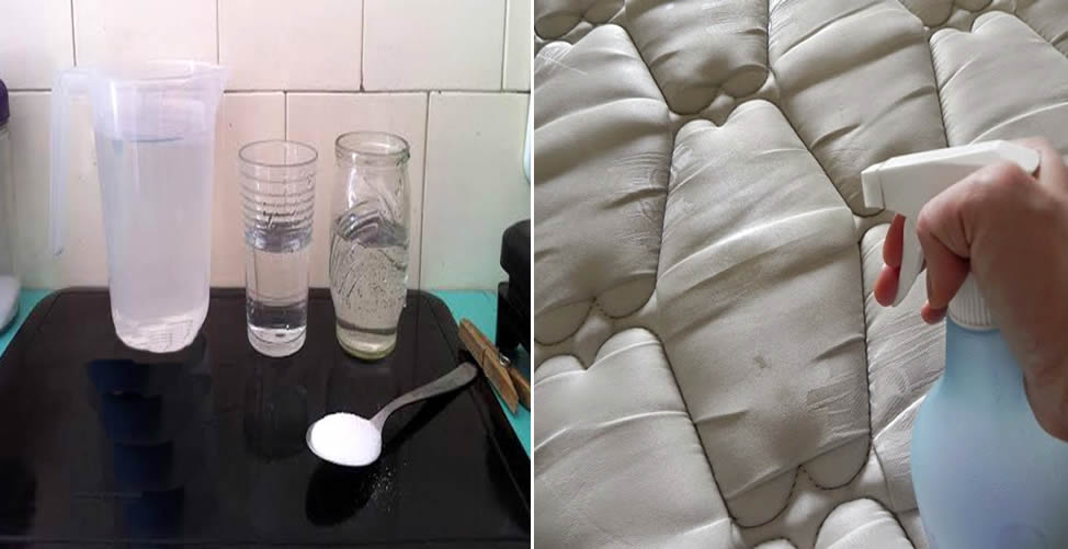 Wie man Uringeruch loswird