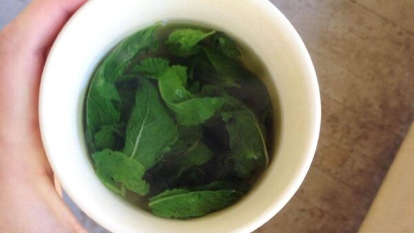 So erfrischen Sie mit 1 Euro die Luft zu Hause: Geben Sie kein Geld für die Klimaanlage aus