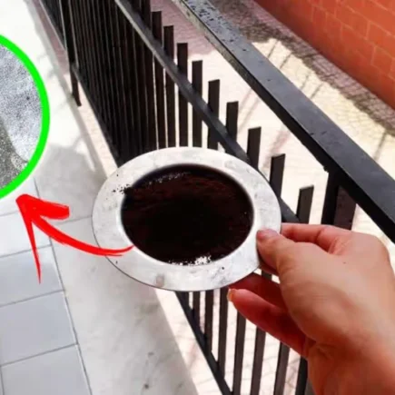 So halten Sie mit natürlichen Abwehrmitteln Wespen und Bienen auf dem Balkon fern