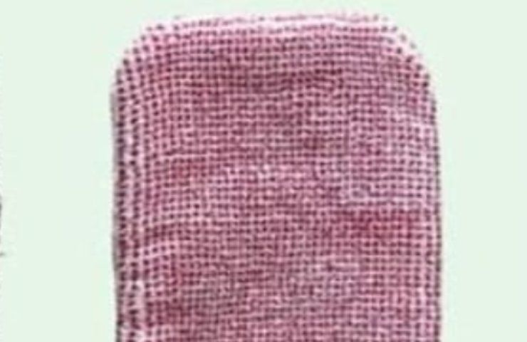 So reinigen Sie Bodenfugen