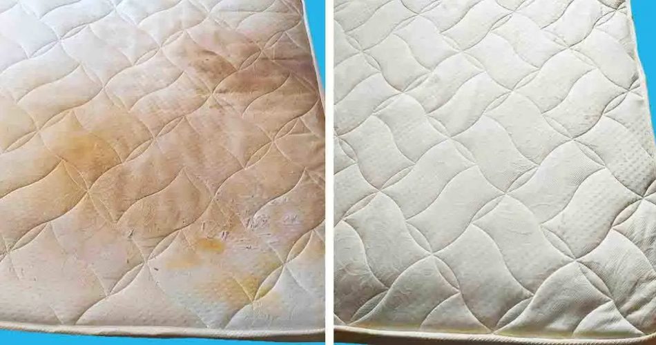 So reinigen Sie eine Matratze zu Hause ohne den Einsatz von Chemikalien