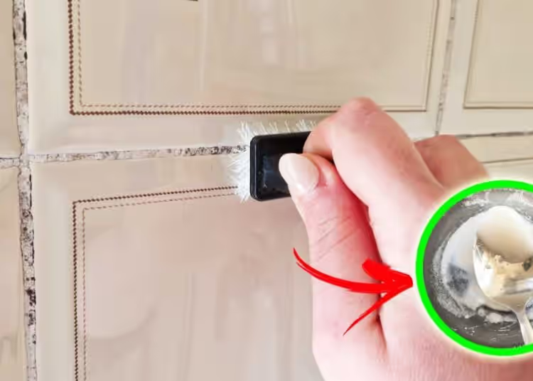 So reinigen Sie geschwärzte oder schimmelige Duschfugen – Tipps und Ratschläge