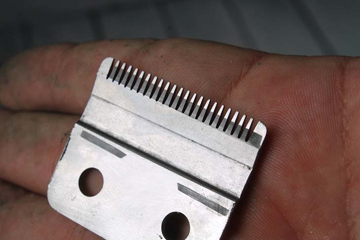 Geschärfte und gereinigte Klinge