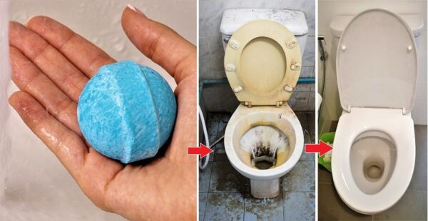 So stellen Sie selbstgemachte Bikarbonattabletten für die Toilette her