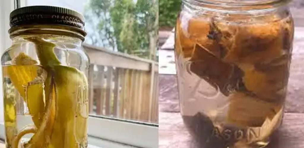 So stellen Sie selbstgemachten Bananenschalendünger für Ihren Garten her