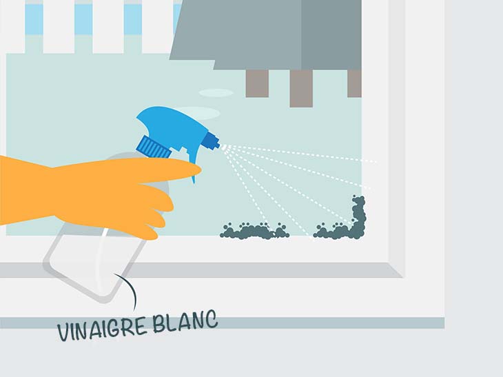 Wie man im zeitigen Frühjahr mit Essig Insekten fernhält 3 Essig auf der Fensterbank