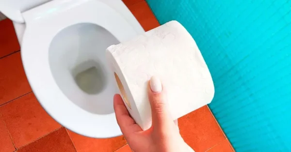 Spülen Sie Toilettenpapierrollen und Damenbinden die Toilette hinunter? Es ist ein großer Fehler