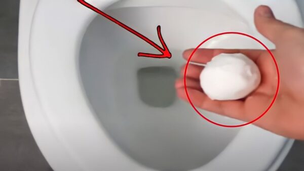 Spülen Sie es die Toilette hinunter, es lässt den Geruch verschwinden und entfernt unauslöschliche Flecken in Minuten