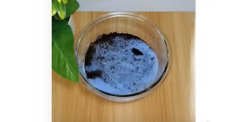 Anti-Insekten-Präparat Anti-Insekten-Präparat