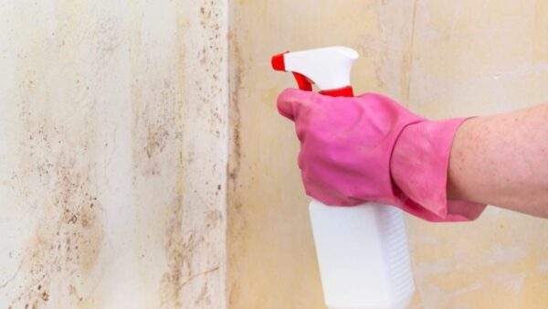 Sprühen Sie dies auf die Wände und der Schimmel wird sofort verschwinden – keine Notwendigkeit für Tünche