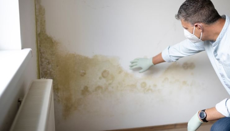 Schimmel an der Wand