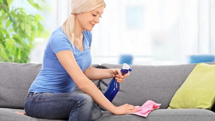 Essig auf das Sofa sprühen