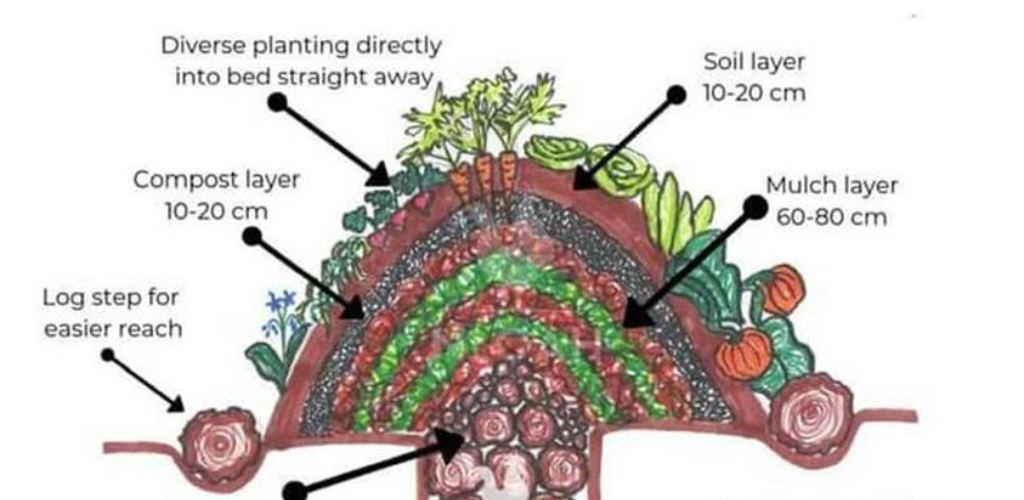 Steile Hugel-Beete anlegen: Ein Leitfaden zur Steigerung der Garteneffizienz