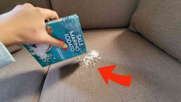 Streuen Sie eine Handvoll Salz auf die Couch. Was passiert, könnte Sie überraschen