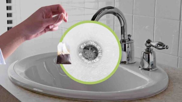 Teebeutel in der Spüle, jeder tut es: etwas Unerwartetes passiert