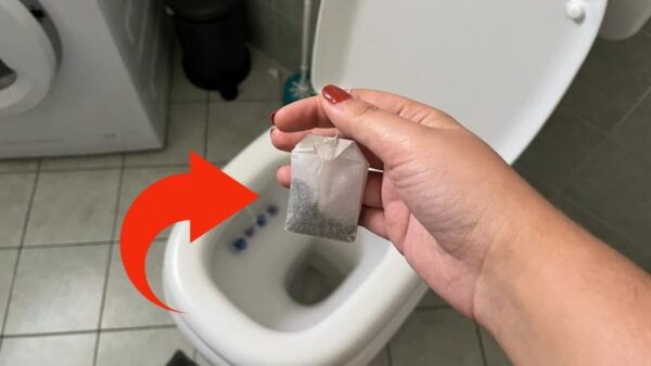 Teebeutel in der Toilette, warum sollte man ihn dort vor dem Schlafengehen spülen?