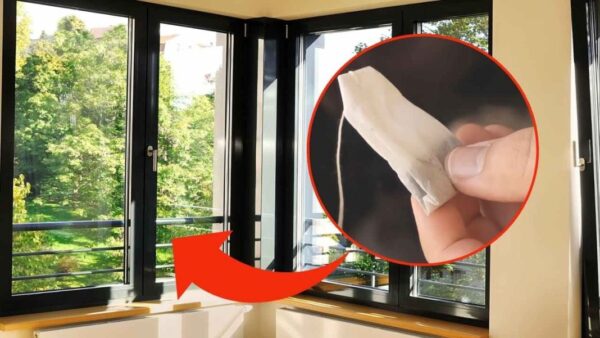 Teebeutel, weil alle damit anfingen, sie zu Hause an den Fenstern zu reiben: Wunderbar