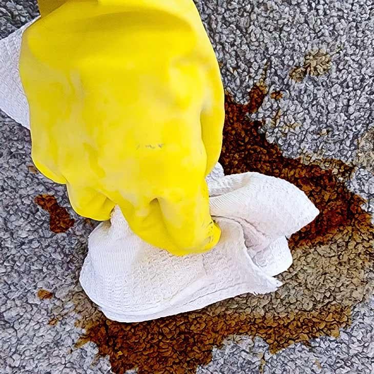 Reinigen eines kaffeeverschmierten Teppichs 