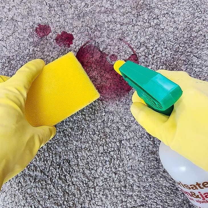 Reinigung des Teppichs 