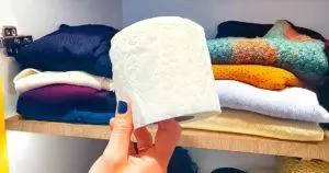 Toilettenpapier: Warum sollte man es immer im Schrank aufbewahren?