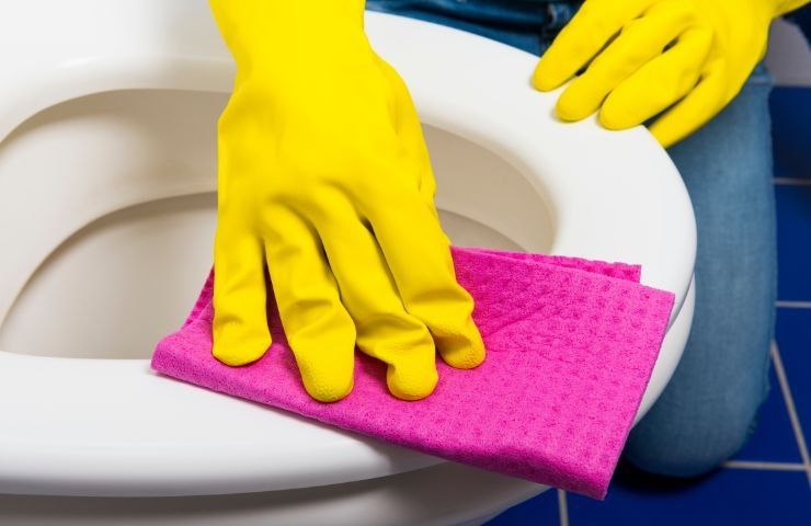 saubere Toilette mit Naturprodukten