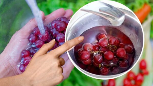 Trauben, gut ja, aber voller Pestizide: Sie abzuspülen ist sinnlos | Der einzige Weg, sie herauszunehmen