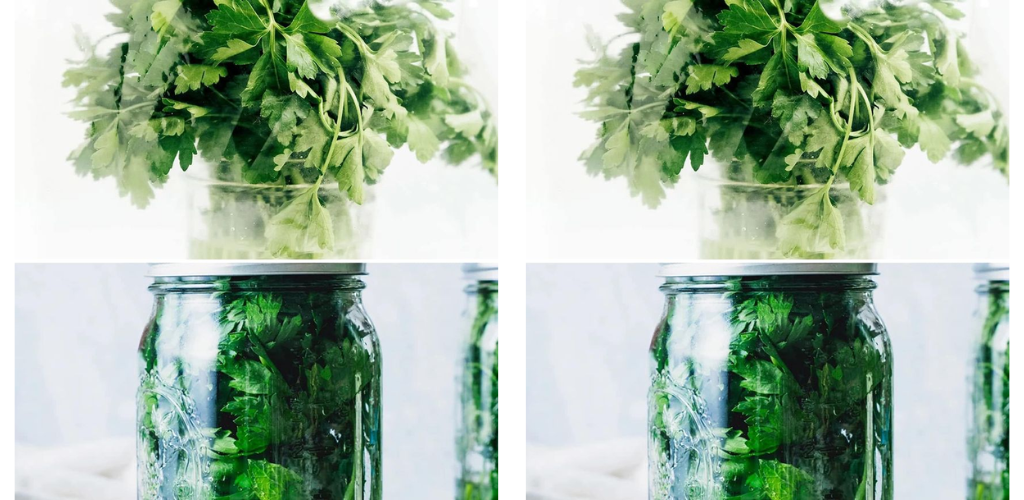 Trick, um Petersilie im Kühlschrank bis zu einem Monat frisch zu halten