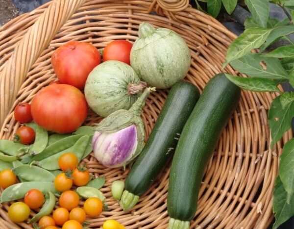 Umfrage: Warum möchten Sie einen eigenen Gemüsegarten anlegen?