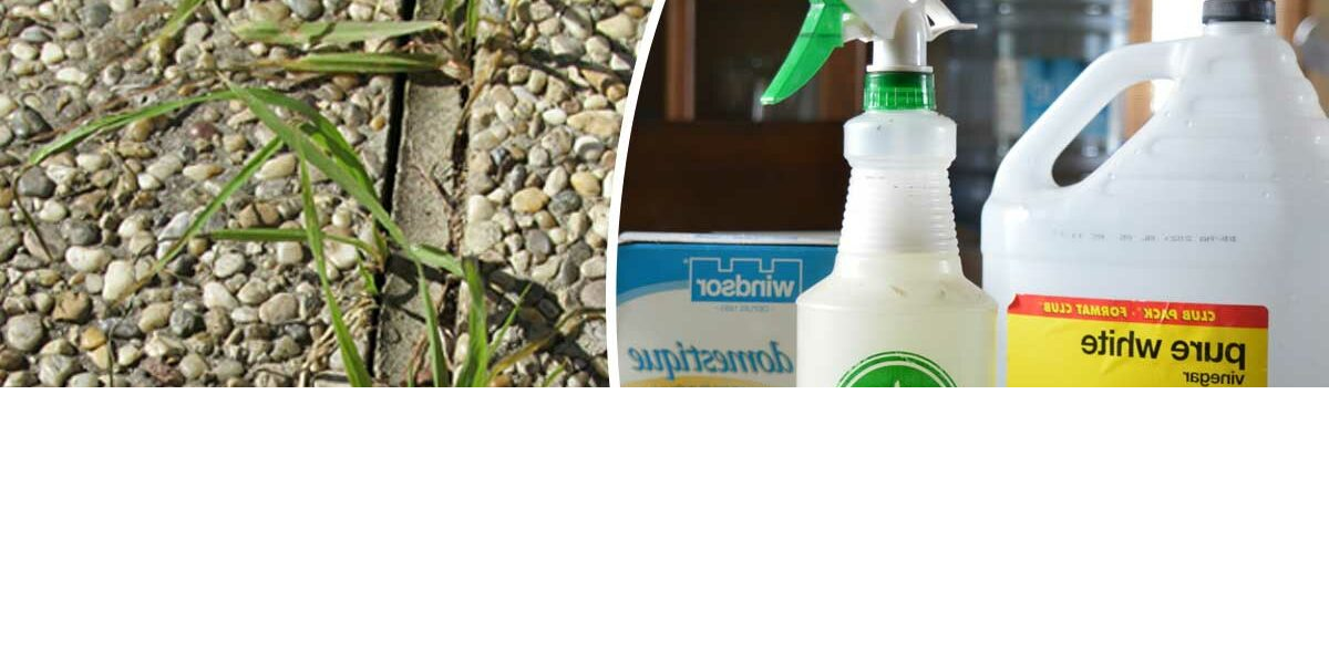 Unkraut mit 7 natürlichen Unkrautbekämpfungsmitteln beseitigen.