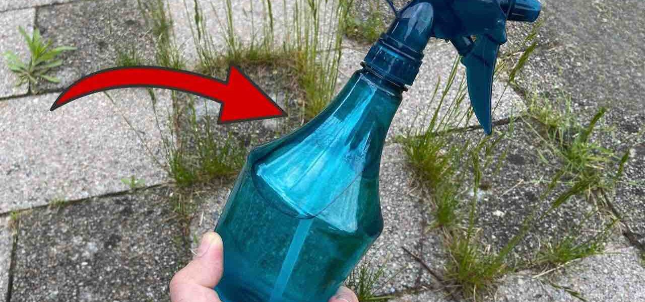 Unkraut und Moos im Garten, einfach aufsprühen, um es dauerhaft zu entfernen
