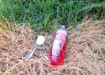 Unkultivierter Garten, nur diese Zutat ermöglicht es Ihnen, alle Unkräuter und Sträucher zu beseitigen