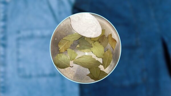 Verblasste oder verblasste Kleidung, der Lorbeertrick, damit sie wieder so werden, wie sie vorher waren